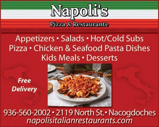 napolis pizza & restaurant