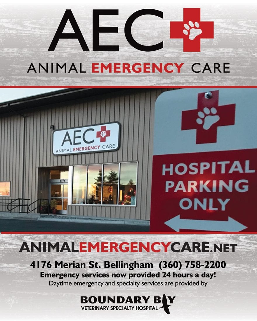 animal emergency care